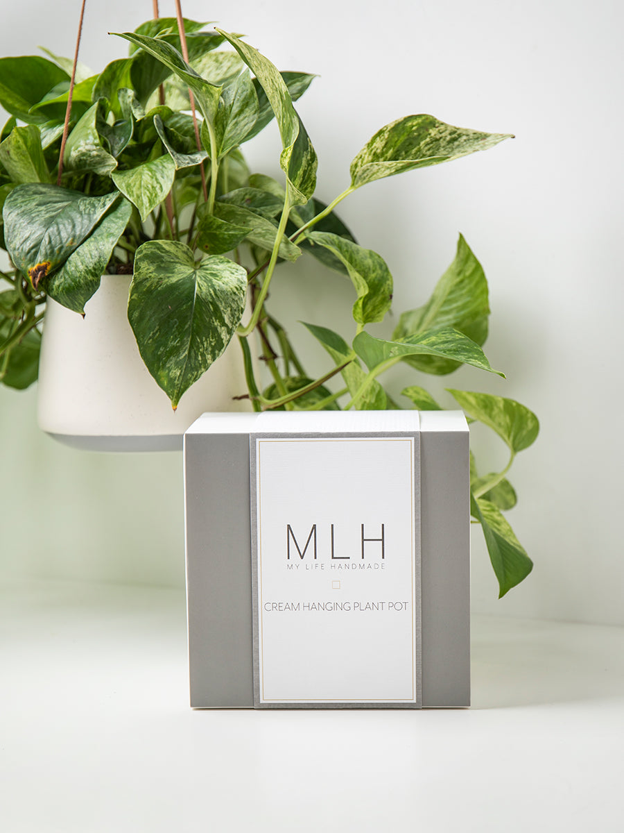Cream Hanging Plant Pot