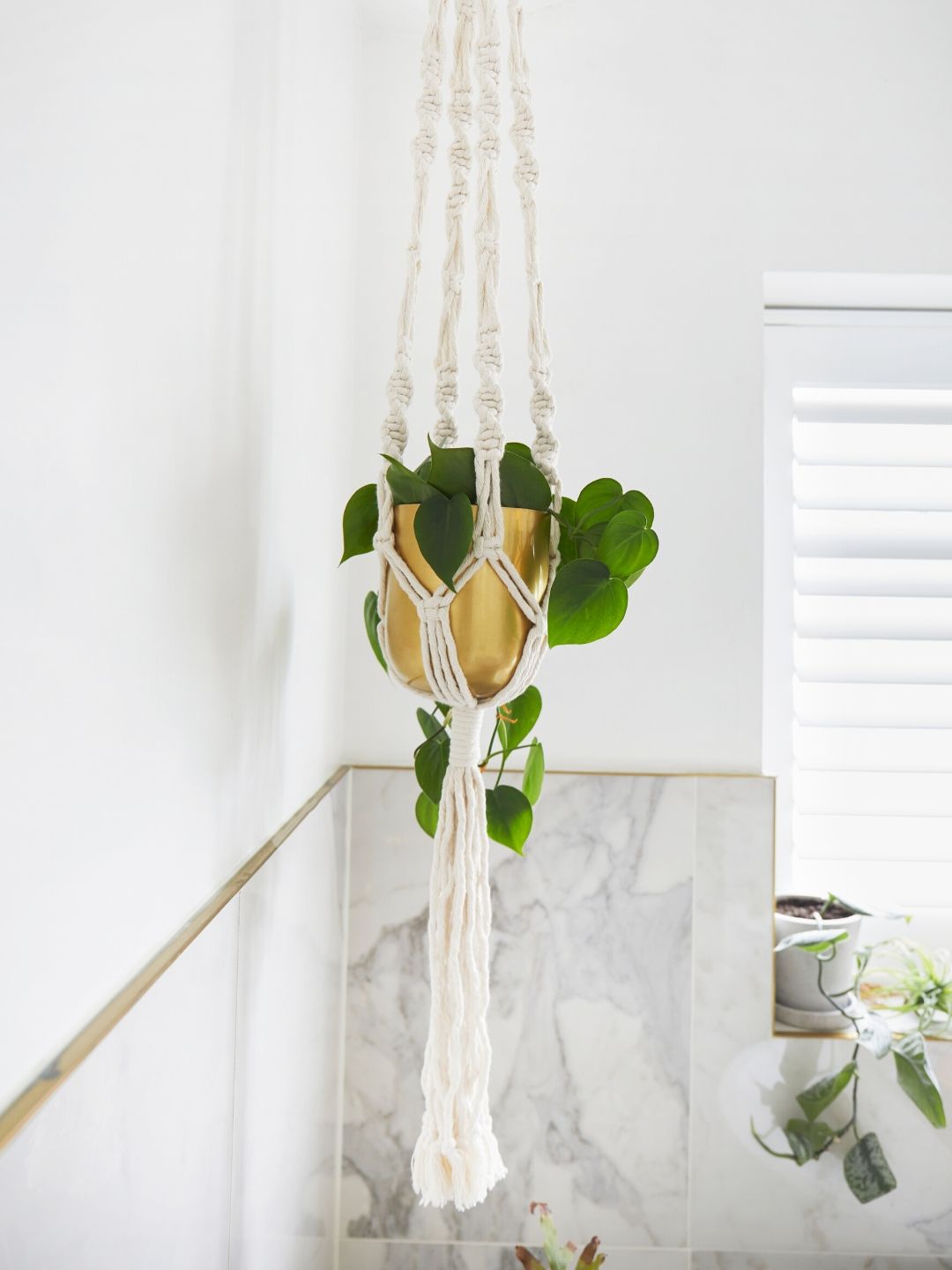 macrame plant hanger craft kit Plant Hanger Craft Kit in Macramé